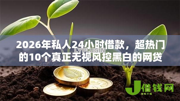 2026年私人24小时借款,超热门的10个真正无视风控黑白的网贷推荐 2026年私人24小时借款,超热门的10个真正无视风控黑白的网贷推荐