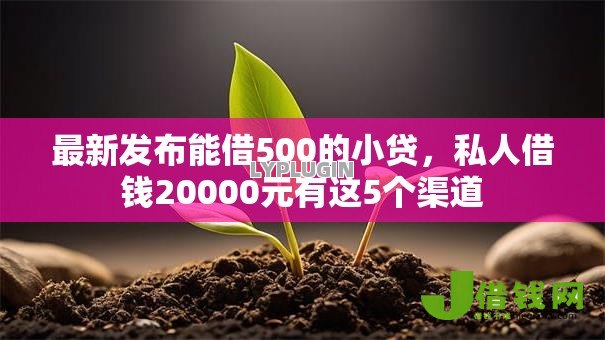 最新发布能借500的小贷，私人借钱20000元有这5个渠道