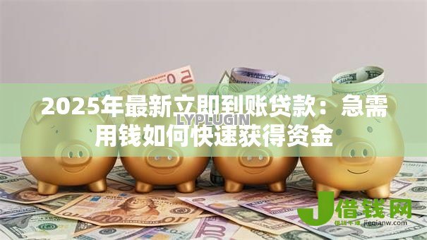 2025年最新立即到账贷款：急需用钱如何快速获得资金