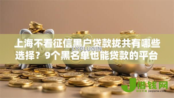 上海不看征信黑户贷款拢共有哪些选择？9个黑名单也能贷款的平台详解