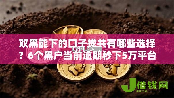 双黑能下的口子拢共有哪些选择？6个黑户当前逾期秒下5万平台详解