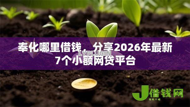 奉化哪里借钱,分享2026年最新7个小额网贷平台 奉化哪里借钱,分享2026年最新7个小额网贷平台