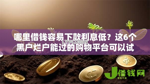 哪里借钱容易下款利息低？这6个黑户烂户能过的购物平台可以试试