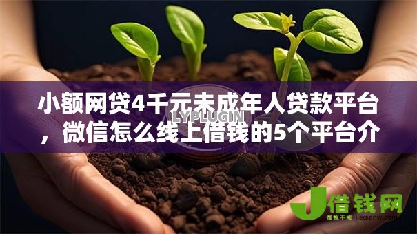 小额网贷4千元未成年人贷款平台，微信怎么线上借钱的5个平台介绍