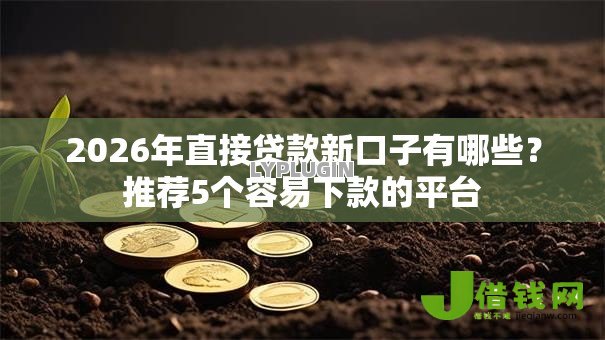 2026年直接贷款新口子有哪些?推荐5个容易下款的平台 2026年直接贷款新口子有哪些?推荐5个容易下款的平台