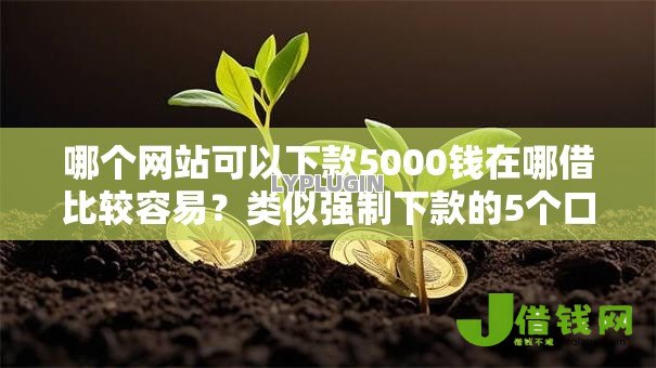 哪个网站可以下款5000钱在哪借比较容易？类似强制下款的5个口子参考