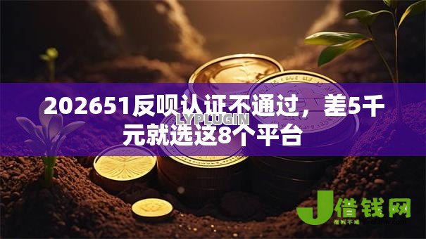 202651反呗认证不通过,差5千元就选这8个平台 202651反呗认证不通过,差5千元就选这8个平台