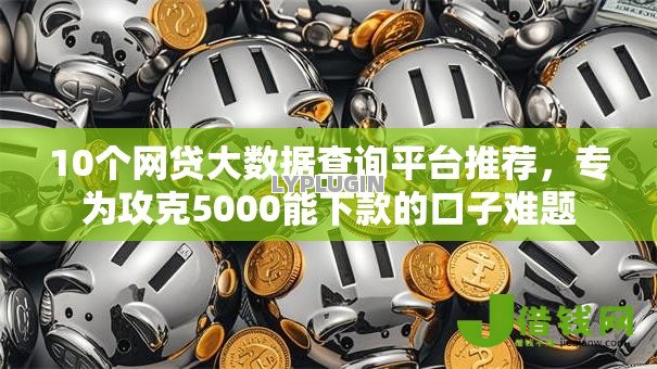 10个网贷大数据查询平台推荐，专为攻克5000能下款的口子难题