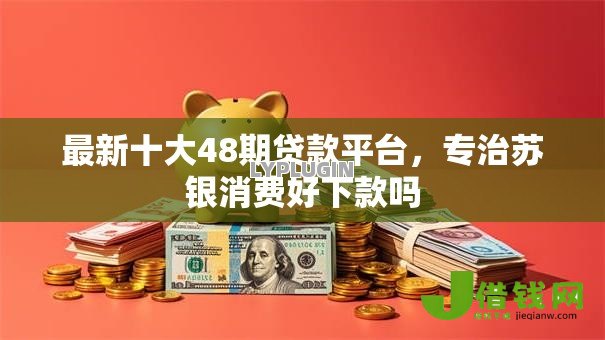 最新十大48期贷款平台，专治苏银消费好下款吗