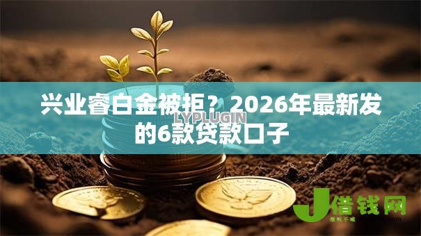兴业睿白金被拒？2026年最新发的6款贷款口子