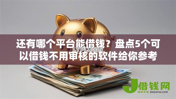 还有哪个平台能借钱？盘点5个可以借钱不用审核的软件给你参考