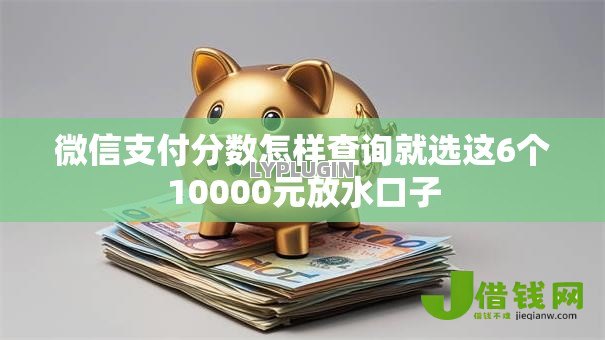 微信支付分数怎样查询就选这6个10000元放水口子