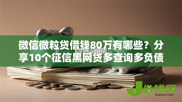 微信微粒贷借钱80万有哪些？分享10个征信黑网贷多查询多负债高能下款的口子