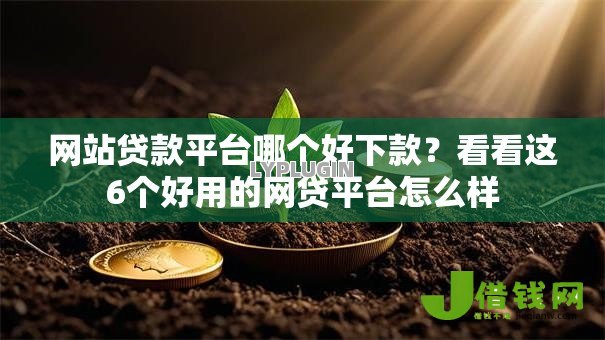 网站贷款平台哪个好下款？看看这6个好用的网贷平台怎么样