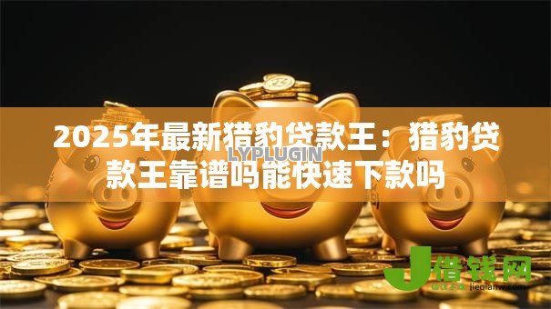 2025年最新猎豹贷款王：猎豹贷款王靠谱吗能快速下款吗