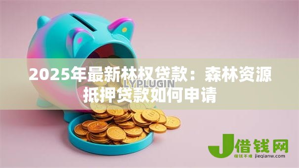 2025年最新林权贷款：森林资源抵押贷款如何申请