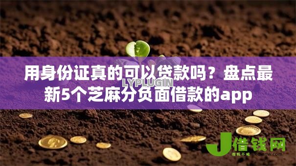 用身份证真的可以贷款吗？盘点最新5个芝麻分负面借款的app