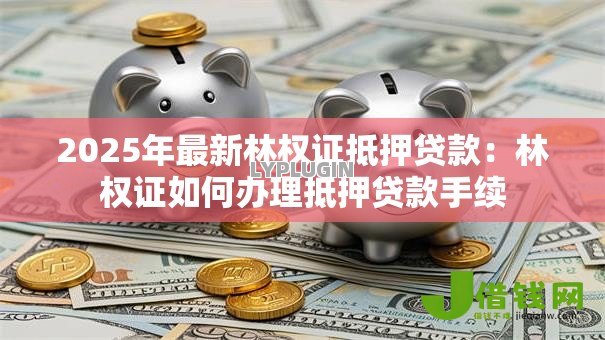 2025年最新林权证抵押贷款：林权证如何办理抵押贷款手续