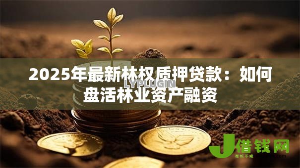 2025年最新林权质押贷款：如何盘活林业资产融资