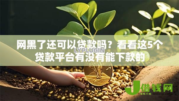 网黑了还可以贷款吗？看看这5个贷款平台有没有能下款的