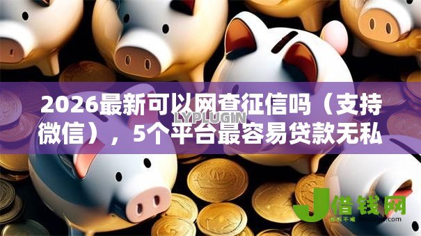 2026最新可以网查征信吗（支持微信），5个平台最容易贷款无私分享