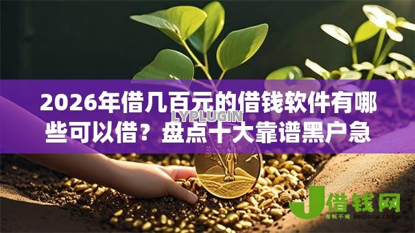 2026年借几百元的借钱软件有哪些可以借？盘点十大靠谱黑户急需三万秒到的的app