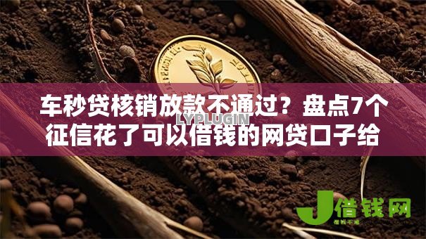 车秒贷核销放款不通过？盘点7个征信花了可以借钱的网贷口子给你参考