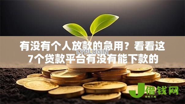 有没有个人放款的急用?看看这7个贷款平台有没有能下款的 有没有个人放款的急用?看看这7个贷款平台有没有能下款的