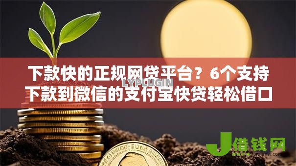 下款快的正规网贷平台？6个支持下款到微信的支付宝快贷轻松借口子