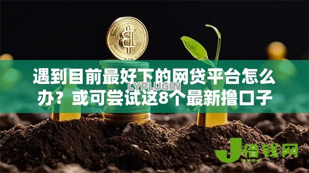 遇到目前最好下的网贷平台怎么办？或可尝试这8个最新撸口子