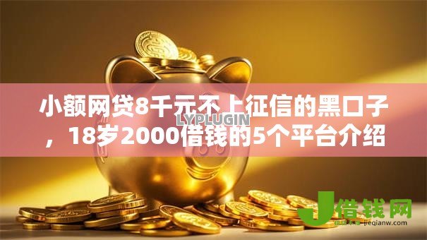 小额网贷8千元不上征信的黑口子，18岁2000借钱的5个平台介绍