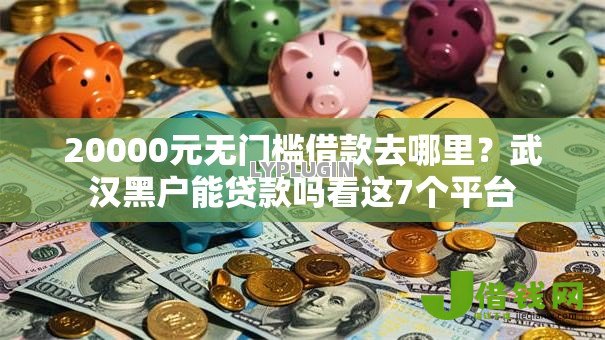 20000元无门槛借款去哪里？武汉黑户能贷款吗看这7个平台