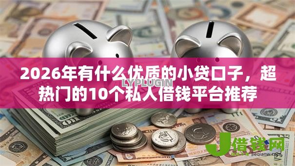 2026年有什么优质的小贷口子，超热门的10个私人借钱平台推荐