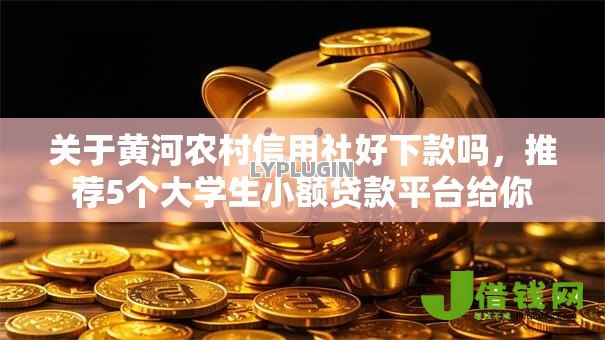 关于黄河农村信用社好下款吗，推荐5个大学生小额贷款平台给你