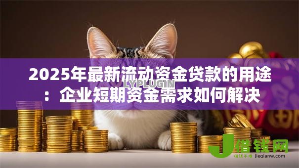 2025年最新流动资金贷款的用途：企业短期资金需求如何解决