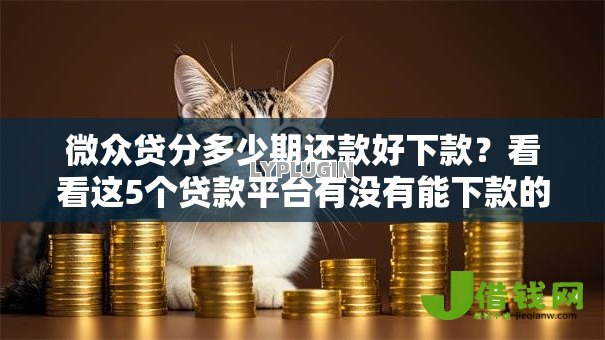 微众贷分多少期还款好下款?看看这5个贷款平台有没有能下款的 微众贷分多少期还款好下款?看看这5个贷款平台有没有能下款的