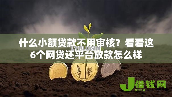什么小额贷款不用审核?看看这6个网贷还平台放款怎么样 什么小额贷款不用审核?看看这6个网贷还平台放款怎么样