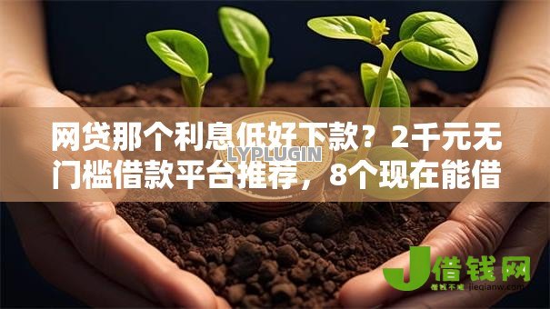 网贷那个利息低好下款？2千元无门槛借款平台推荐，8个现在能借钱的平台盘点