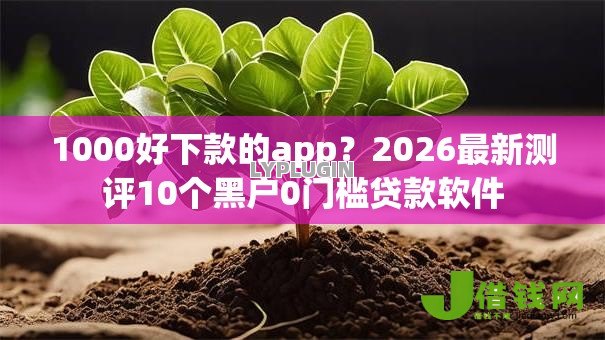 1000好下款的app？2026最新测评10个黑户0门槛贷款软件