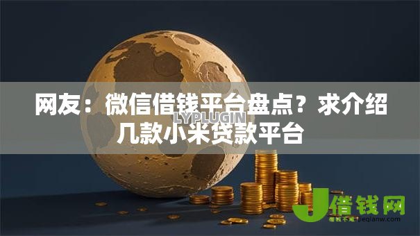 网友：微信借钱平台盘点？求介绍几款小米贷款平台