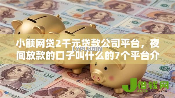 小额网贷2千元贷款公司平台，夜间放款的口子叫什么的7个平台介绍