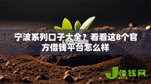 宁波系列口子大全？看看这8个官方借钱平台怎么样