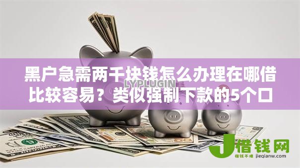黑户急需两千块钱怎么办理在哪借比较容易？类似强制下款的5个口子参考