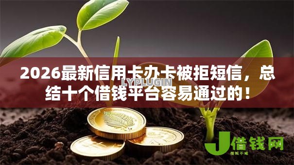 2026最新信用卡办卡被拒短信，总结十个借钱平台容易通过的！