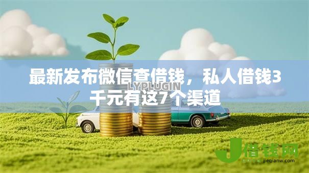 最新发布微信查借钱，私人借钱3千元有这7个渠道