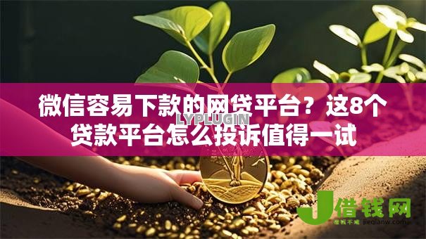 微信容易下款的网贷平台？这8个贷款平台怎么投诉值得一试