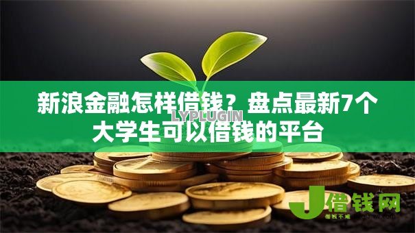 新浪金融怎样借钱?盘点最新7个大学生可以借钱的平台 新浪金融怎样借钱?盘点最新7个大学生可以借钱的平台