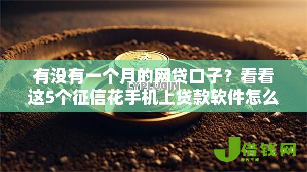 有没有一个月的网贷口子？看看这5个征信花手机上贷款软件怎么样