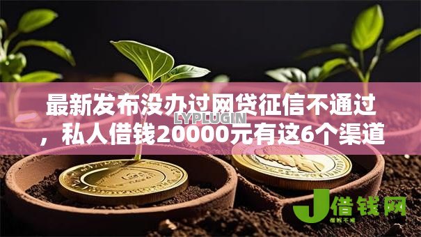 最新发布没办过网贷征信不通过，私人借钱20000元有这6个渠道
