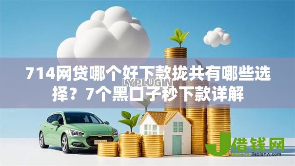 714网贷哪个好下款拢共有哪些选择?7个黑口子秒下款详解 714网贷哪个好下款拢共有哪些选择?7个黑口子秒下款详解